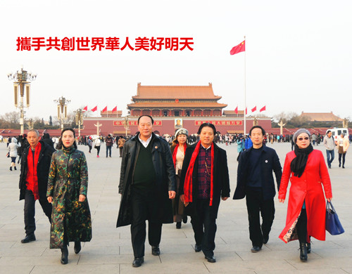 世界华人活动掠影